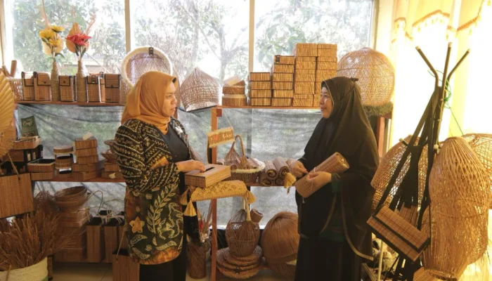 Safriati Kunjungi Pengrajin Lidi Nipah