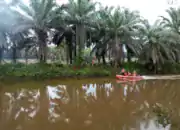 Fuk Jan Hilang di Sungai Kebun Sawit