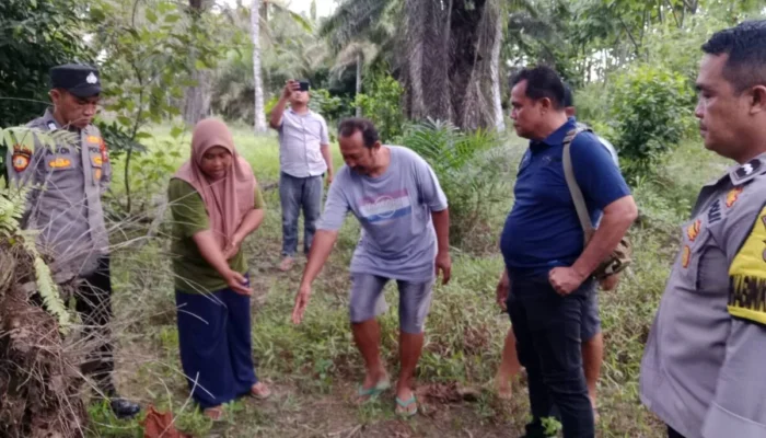 Polisi Selidiki Kasus Pembuangan Bayi di Kebun Sawit