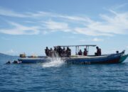 Bersama Kelompok Nelayan, PT Timah Tenggelamkan Puluhan Rumpon