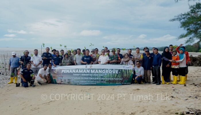 PT Timah Tanam 2500 Mangrove di Pantai Perepat Mati
