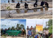 Perluas Area Mangrove, 1000 Bibit Tertanam