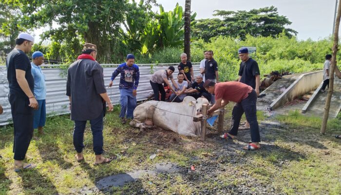 Moment Iduladha, Polairud Polda Babel Berbagi Daging Kurban