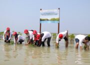AHM Perkuat Upaya Penyerapan Karbon Untuk Mitigasi Perubahan Iklim