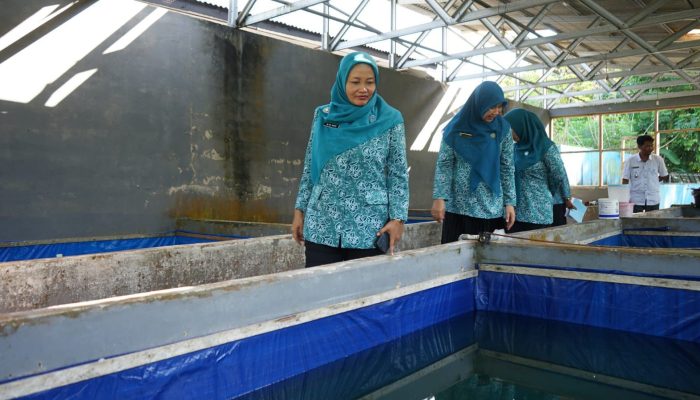 Belitung Jadi Lokasi Terakhir