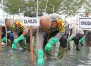 Galakkan Ketahanan Bumi Dengan Penanaman Sejuta Pohon