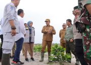 Lahan Kritis Menjadi Masalah Lingkungan di Babel