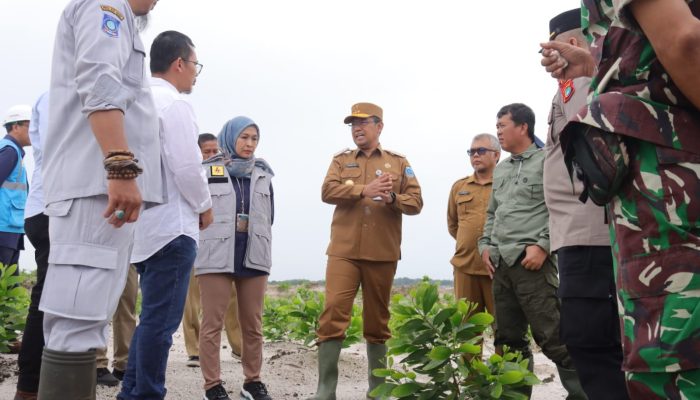 Lahan Kritis Menjadi Masalah Lingkungan di Babel
