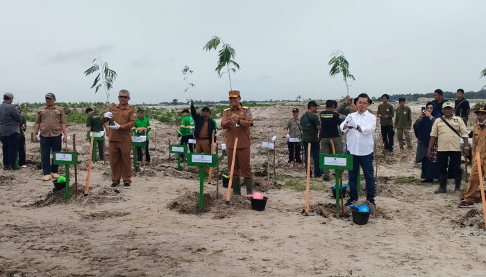 Berperan Aktif Dalam Program Rehabilitasi Hutan dan Lahan