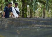 PT Timah Bantu Kelompok Usaha Sumber Rezeki