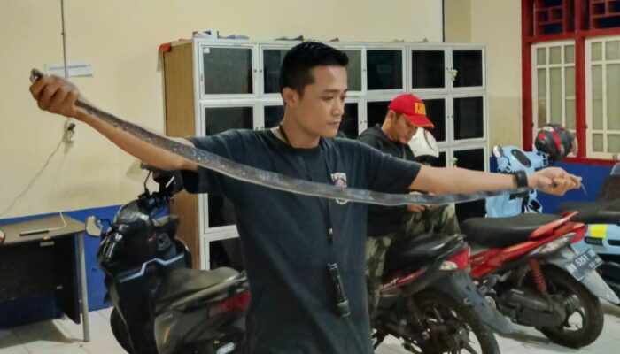 Dua Ekor Ular Kejutkan Warga Toboali