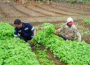 Manfaatkan Lahan Untuk Dukung Asta Cita