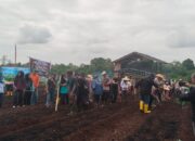 Bersama Polsek Kundur Utara-Barat, PT Timah Dukung Program Tanam Satu Juta Hektare Jagung