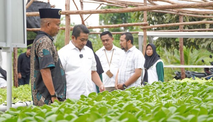 Kelompok Hidroponik Lanjut Bestari Bangun Ketahanan Pangan