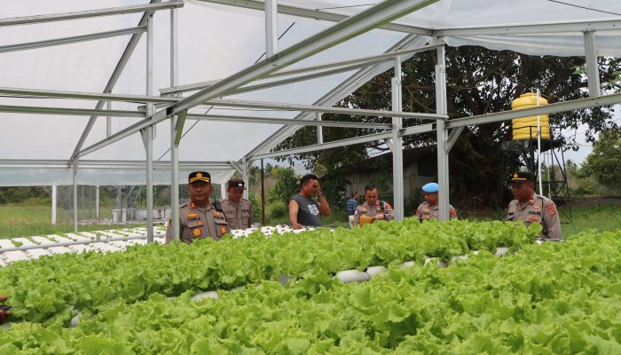 Pastikan Program Ketahanan Pangan Libatkan Masyarakat