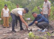 Poktan Ini Tanam Mangrove dan Budidayakan Kerang Darah