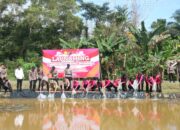 Polda Babel Tanami Ribuan Bibit Tanaman Dan Lepas 5000 Bibit Ikan