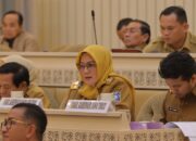 Hellyana Paparkan Kondisi Terkini Bangka Belitung, Tegaskan Pentingnya Penguatan Daerah