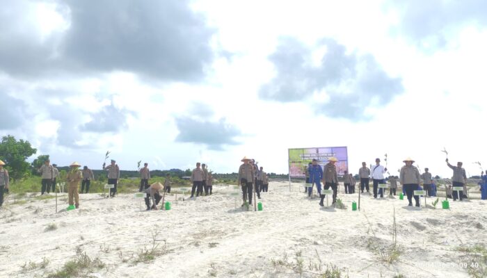 500 Bibit Pohon Ditanam di Lahan Bekas Tambang