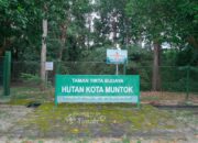 Komitmen PT Timah Jaga Hutan Kota Mentok
