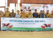 Terima Bantuan Hewan Kurban, Bupati Bangka Tengah Apresiasi PT Timah