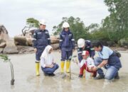 Program Pengelolaan Lingkungan PT Timah, Komitmen Untuk Masa Depan Bumi