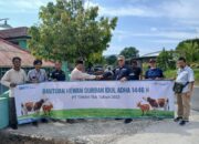 PT Timah Tidak Pernah Absen Berikan Hewan Kurban