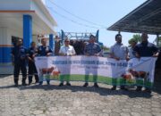 PT Timah Bagikan Ratusan Hewan Kurban, Termasuk di Bangka Barat