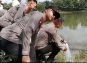 3.000 Ekor Bibit Ikan Dilepas ke Kolong
