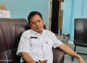 Baru Ada 4 Ekor Sapi