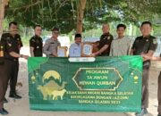Kejari Basel Serahkan Sapi Kurban ke PD Muhammadiyah