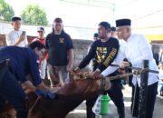 Polda Babel Potong Puluhan Hewan Qurba