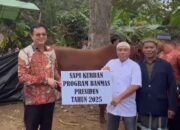 Sapi Kurban Dari Presiden Diserahkan ke Desa Air Nyatoh