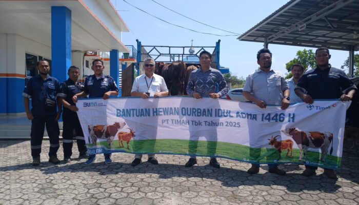 PT Timah Tebar Ratusan Hewan Kurban di 4 Provinsi