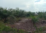 Sampaikan Keluhan Kepada Gubernur, Heri Ungkap Lahan Persawahan Jadi Areal Perkebunan Kelapa Sawit