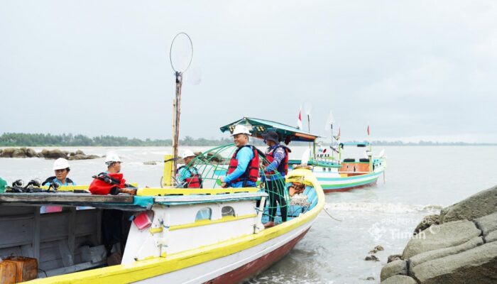 Penenggelaman Aritificial Reef, Strategi PT Timah Jaga Ekosistem Laut