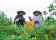 Pemberdayaan Potensi Lokal, Dari Desa untuk Bangsa