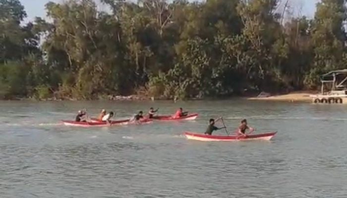 PT Timah Dukung Lomba Dayung dan Penanaman Mangrove