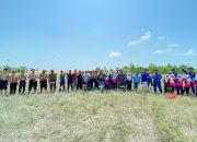 PT Timah Bersama HNSI Bangka Tanam Ribuan Mangrove di Nelayan II Sungailiat