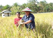 Gubernur Optimis Babel Wujudkan Swasembada Pangan