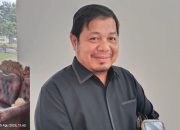 Gegara Kasus Hukum Mengintai KONI, Pembinaan Prestasi Olahraga Terancam Mandeg