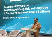 Pemprov dan YKAN Gagas Program Konservasi Mangrove Bertajuk Serumpun Sebalai Babel