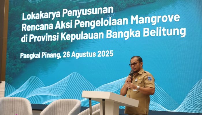 Pemprov dan YKAN Gagas Program Konservasi Mangrove Bertajuk Serumpun Sebalai Babel