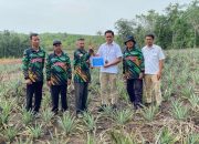 PT Timah Bantu Petani di Kundur Lewat Bibit Tanaman