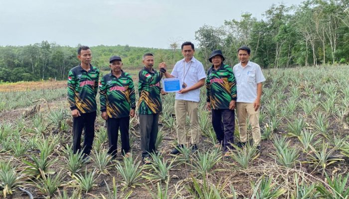PT Timah Bantu Petani di Kundur Lewat Bibit Tanaman