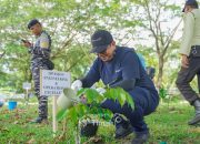 Program 1.000 Pohon Untuk Negeri, Komitmen PT Timah Lestarikan Lingkungan Secara Berkelanjutan