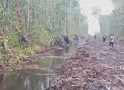 Hulu Sungai Kemis Dirambah Perkebunan Sawit