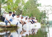 Belasan Ribu Bibit Ikan Ditebarkan di Kolong Bekas Tambang