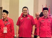 Riza Herdavid Jabat Ketua DPC PDIP Kabupaten Bangka Selatan
