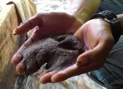 Kualitas dan Kadar Kadungan Timah Jadi Pembeda Harga